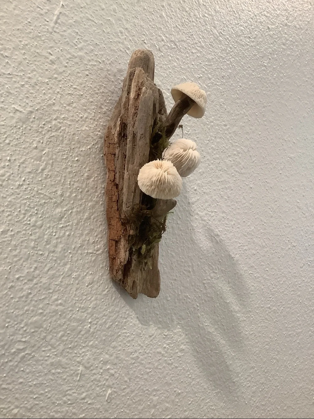 Driftwood Art, Driftwood and Coral Mushrooms, Mushroom Art, Coastal Art